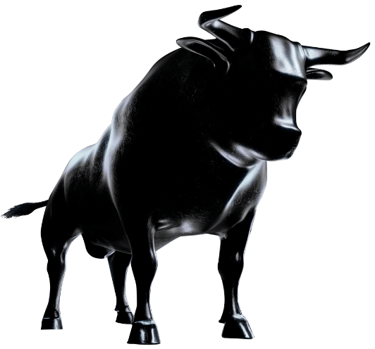 Bull
